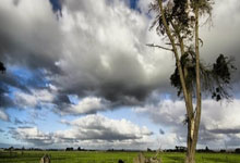 孙铭徽顶替郭艾伦进入CBA全明星赛南区首发名单.