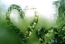 27记三分+狂砍162分！步行者一战刷新队史三分&得分纪录.